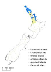 Sticherus flabellatus distribution map based on databased records at AK, CHR and WELT.
 Image: K. Boardman © Landcare Research 2015 CC BY 3.0 NZ
